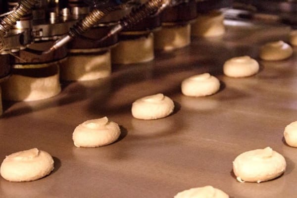 Bakery PTFE Conveyor Belt