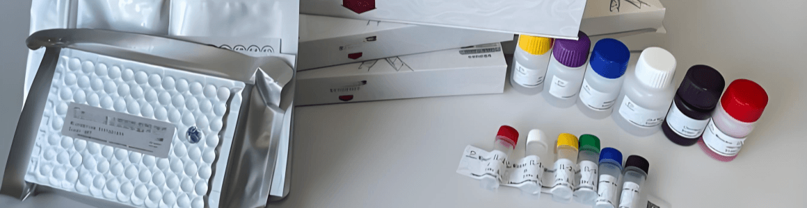 Specialty food and diagnostic kit packaging